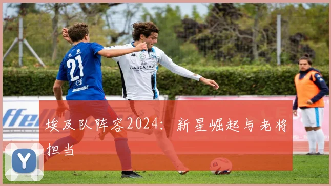 埃及队阵容2024:新星崛起与老将担当