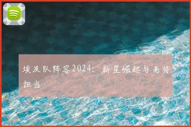 埃及队阵容2024：新星崛起与老将担当