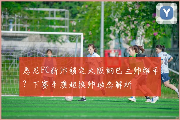 悉尼FC新帅锁定大阪钢巴主帅维辛?下赛季澳超换帅动态解析
